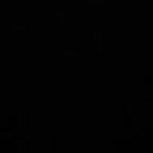 Meet your Posher, Bryani